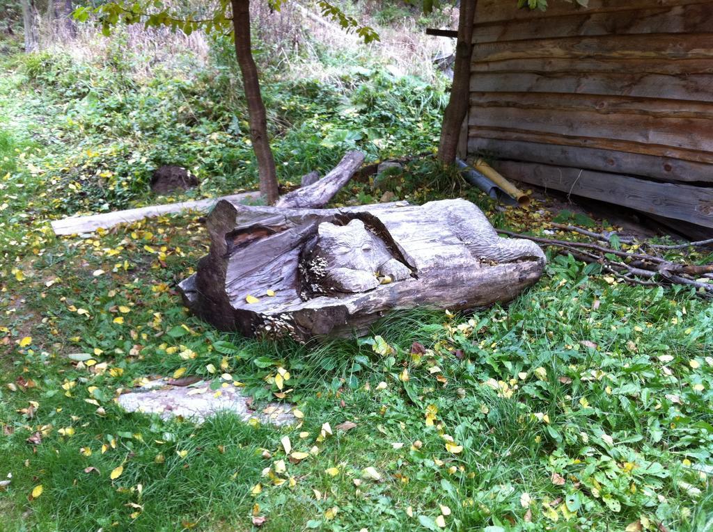 Chata Devena Valča Habitación foto